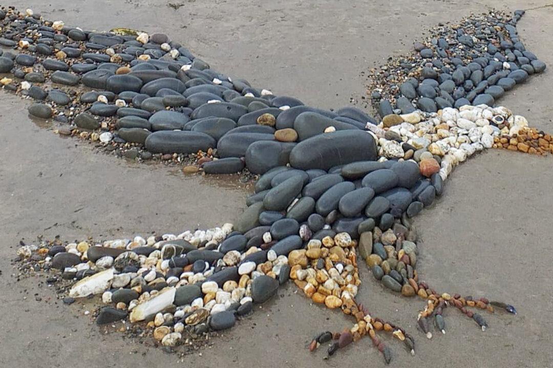 PHOTOS: Family Creates Stunning Artwork Using Pebbles, Turning Beach Time Into Wellness Time
