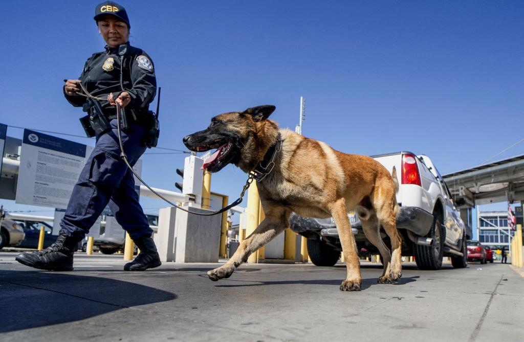 Dog Uncovers One Ton of Meth Worth $4 Million in Veggie Big Rig at Border