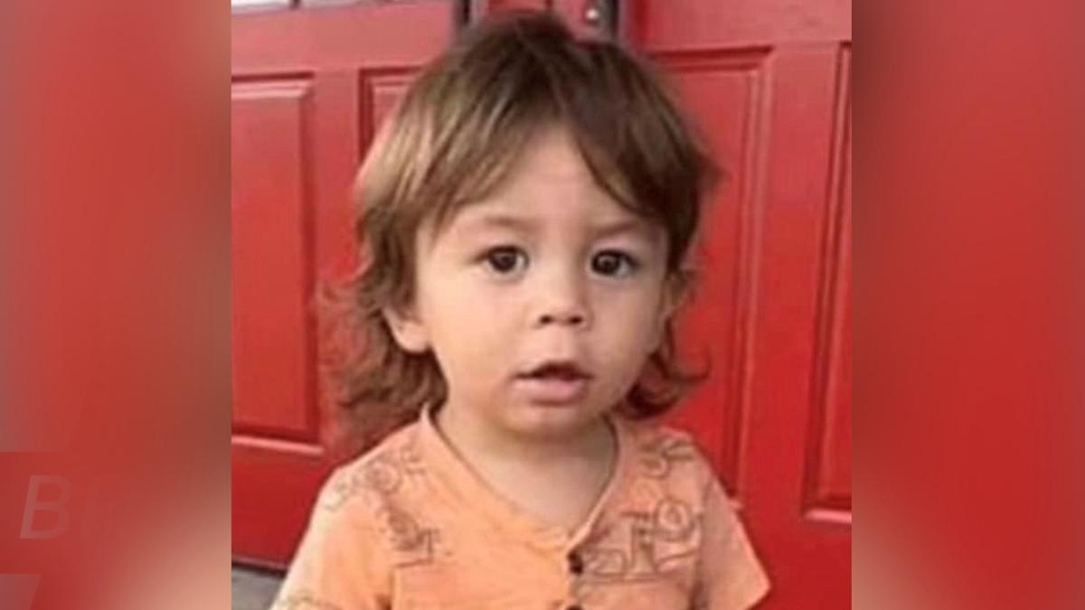 Police: Missing Georgia Toddler Likely Dead, Mother Named Prime Suspect