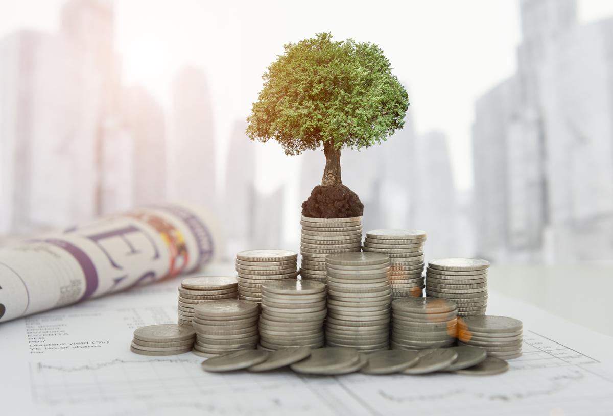 Asset Misallocation?—Relationship Investing (22)