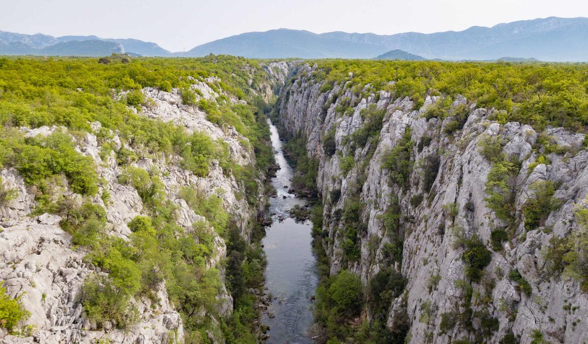 Inflation and Recession Are Becoming Entrenched