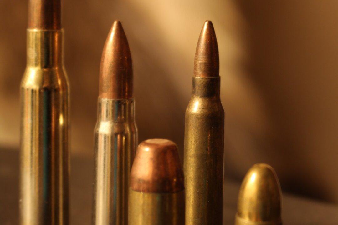 Armed and Beltway-ish: More Federal Bureaucrats Than US Marines Authorized to Pack Heat