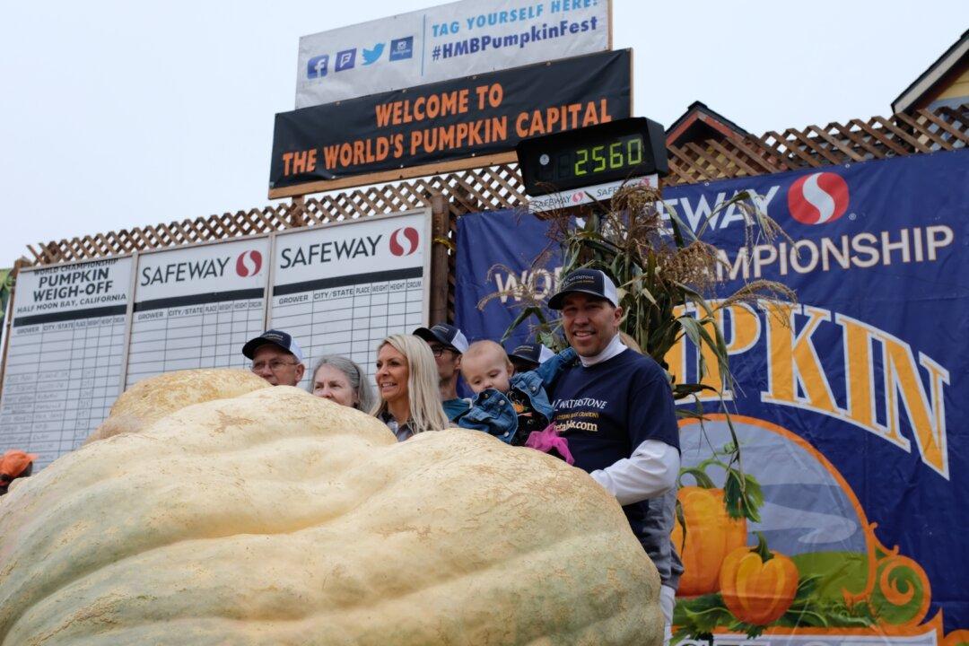 ‘I’m super thankful’: Owner of 2,560-Lb Pumpkin Sets New North American Record in Half Moon Bay Contest