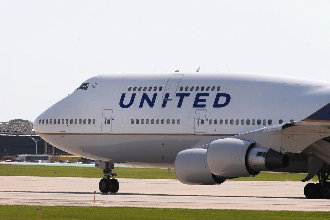 United Airlines Flight Returns to Chicago After Bird Strike