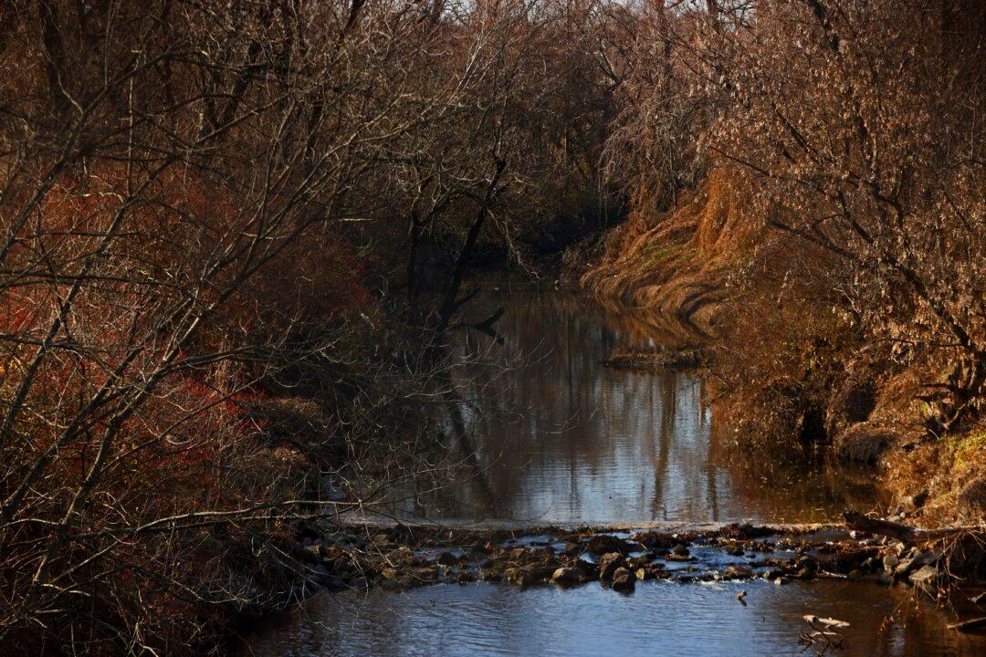 Radioactive Waste Found at Missouri Elementary School