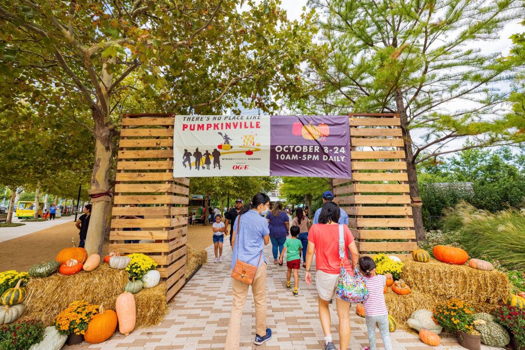 These Are the Top US Pumpkin Patches Worth Traveling To