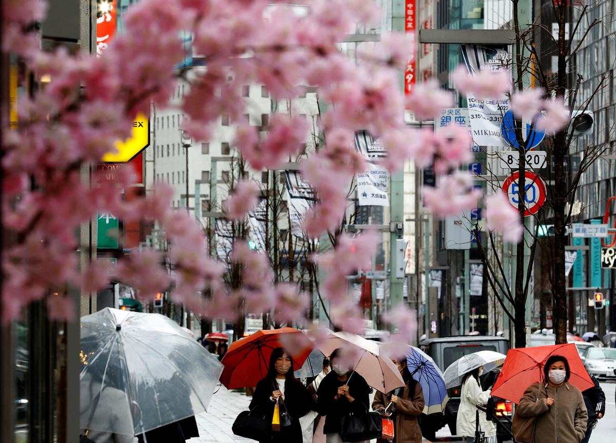 Japan Lifts Entry Restrictions, Attracting Southeast Asian Tourists