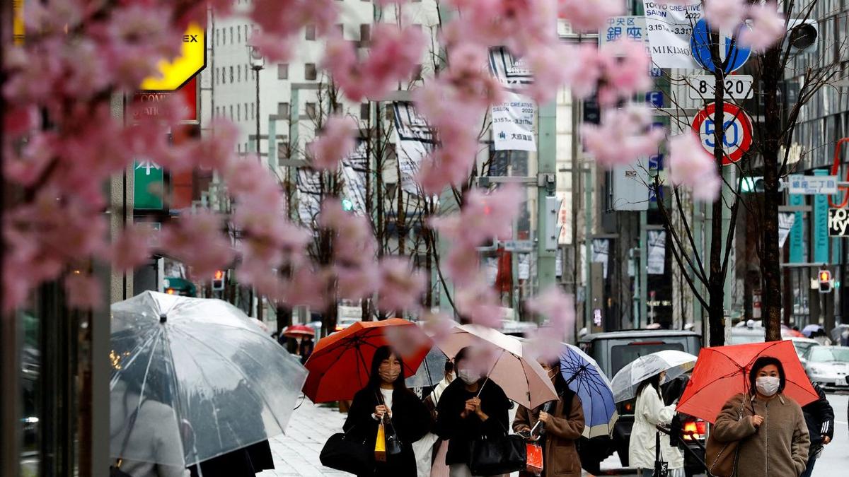 Japan Manufacturing Slows to 21-Month Low, Services Pick Up With Reopening for Visa-Free Travel