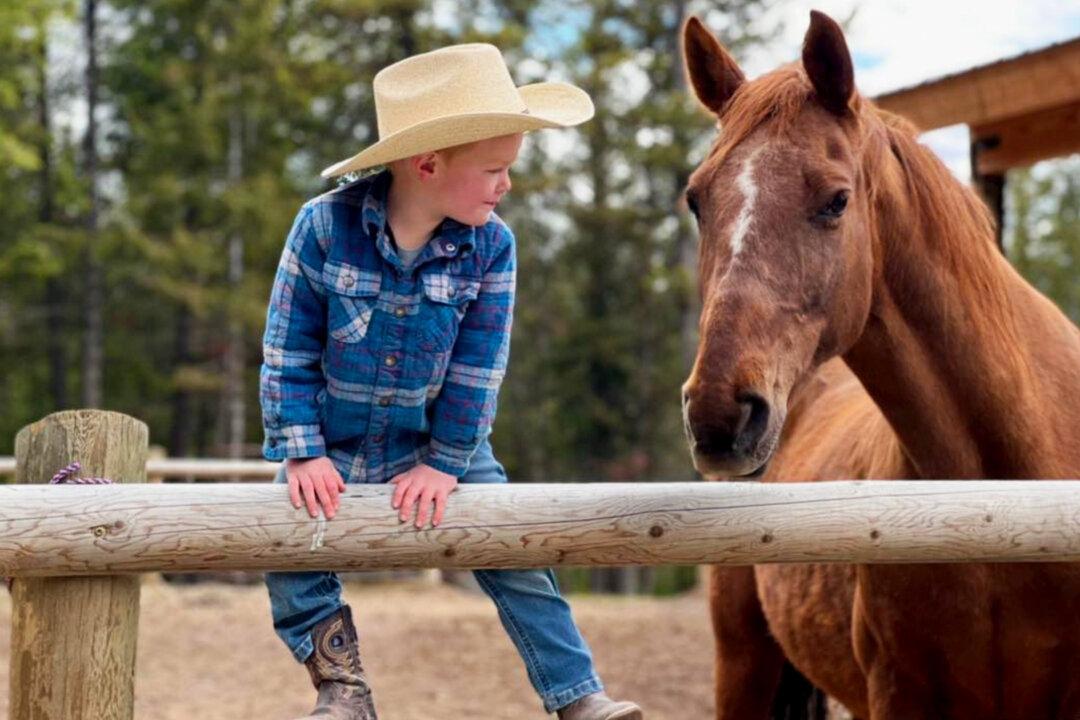 VIDEO: 4-Year-Old Cowboy Learns Lessons of Life With His Beautiful Mare Named Willow