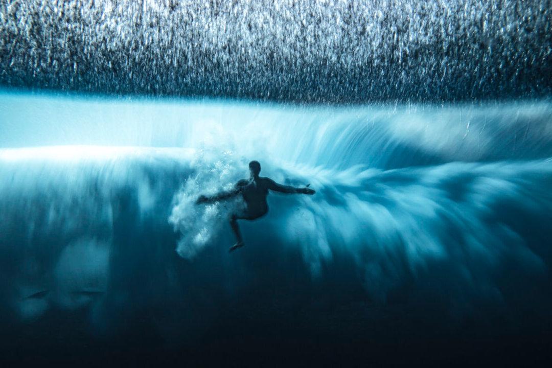 Winning Photos From 2022’s Ocean Photographer of the Year Awards Will Take Your Breath Away