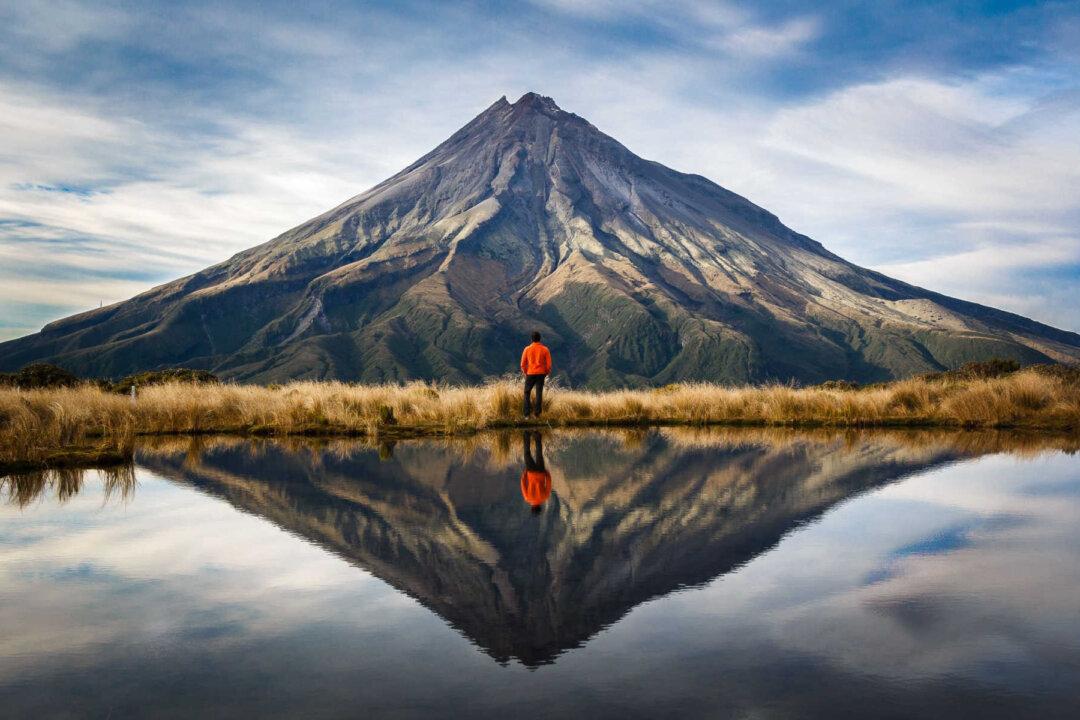 A Big Picture Look at the Disastrous Public Health Response to COVID-19