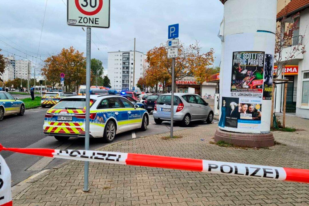 2 Killed in Stabbing in Southwest Germany, Suspect Detained
