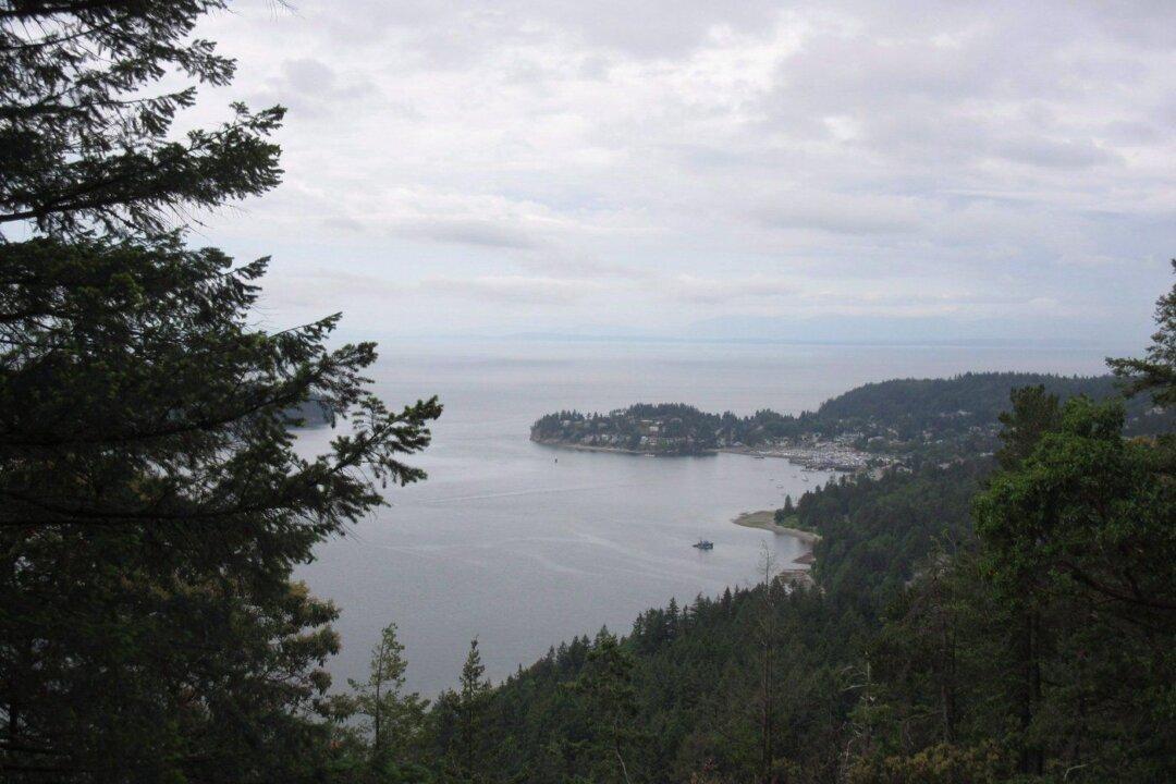 BC Drought Forces Emergency Order on Sunshine Coast, but Officials Urge Calm