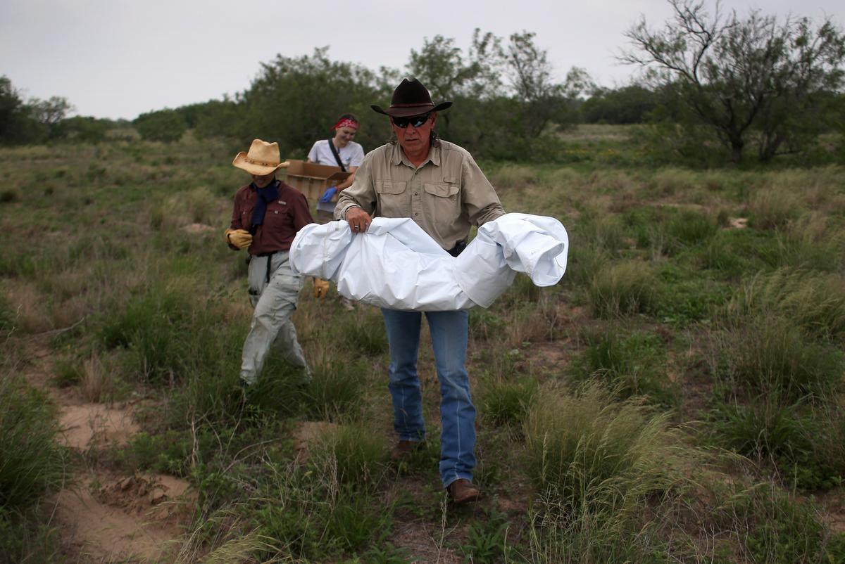For Every Dead Body Found, 5 to 10 More Out There: Texas Sheriff on Illegal Alien Deaths
