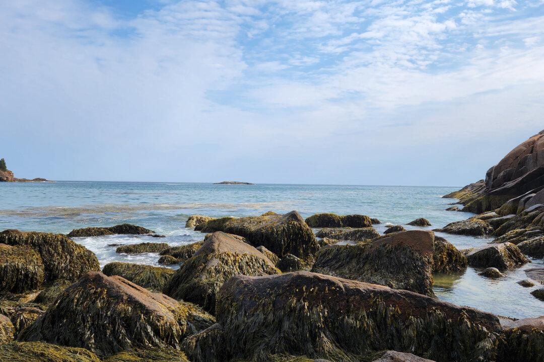 A Trip to Coastal Maine Brings to Mind Lake Superior’s North Shore—to an Extent