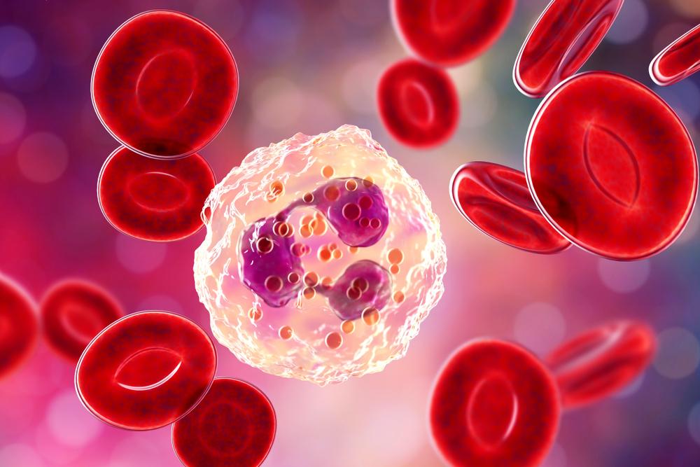 German Study Finds Link Between Inflammation, Aging, and Diet
