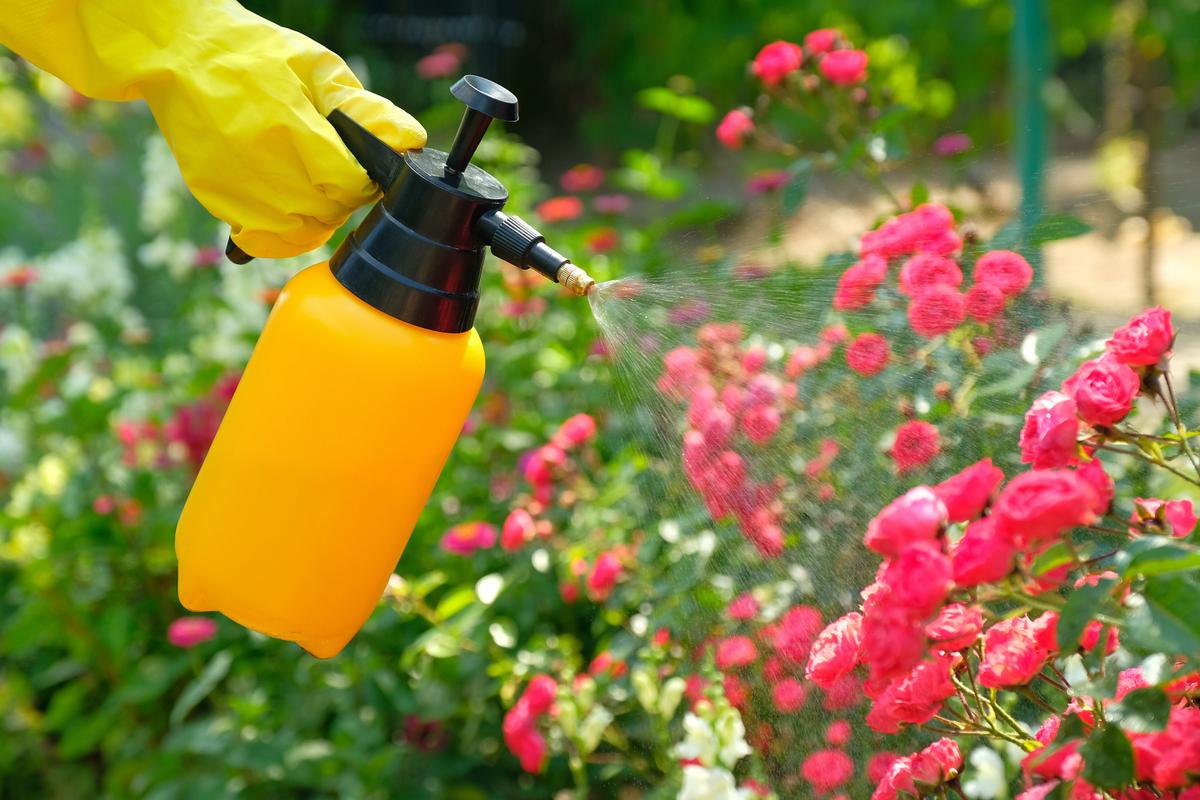 Pesticide Resistance