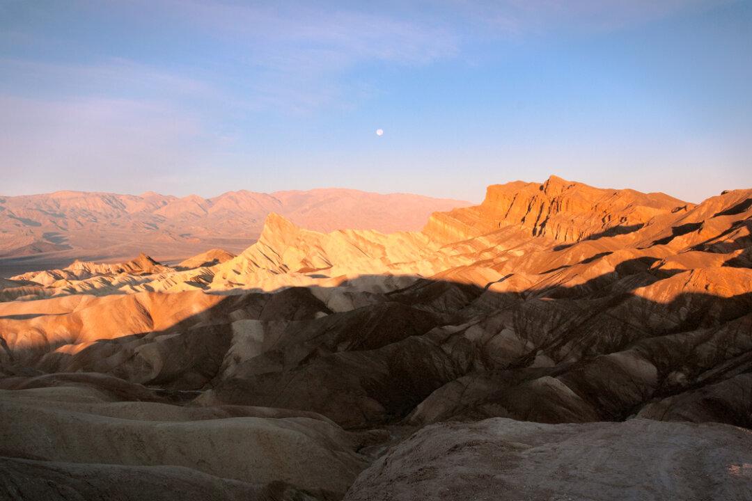 Death Valley National Park: Enchanting Landscapes and Abundant Wildlife Await Those Who Can Withstand the Heat