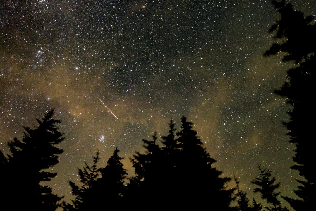 Shooting Star Display: How and When to Take In the 2024 Perseid Meteor Shower