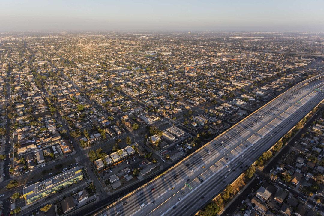 Organized Chaos in South Central, Los Angeles