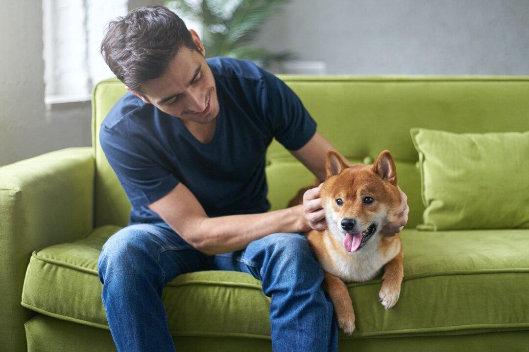 10 Signs That You May Need a New Pet