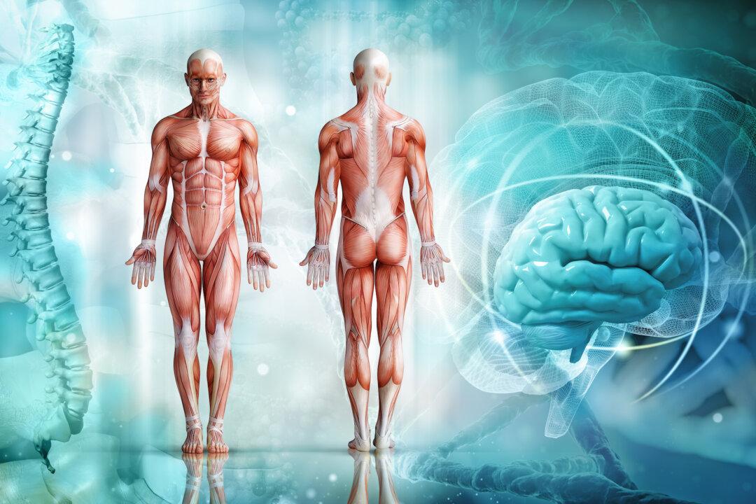 Muscle Is Important for Good Health – Here’s How to Maintain It After Middle Age