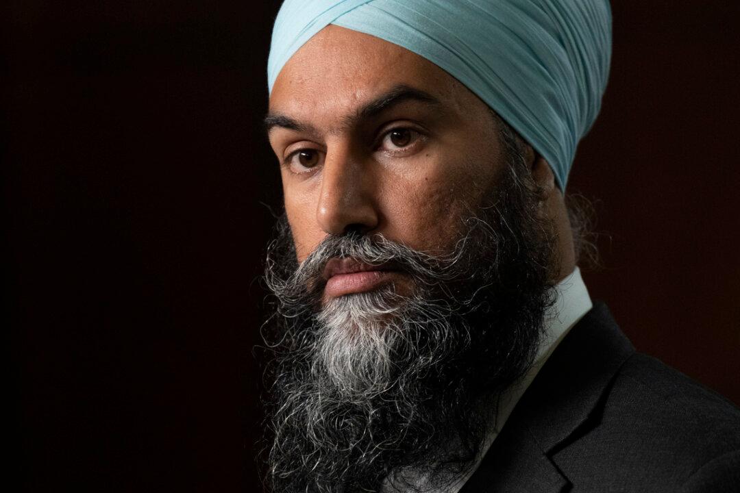 NDP Motion Asks Johnston to Step Down as Special Rapporteur