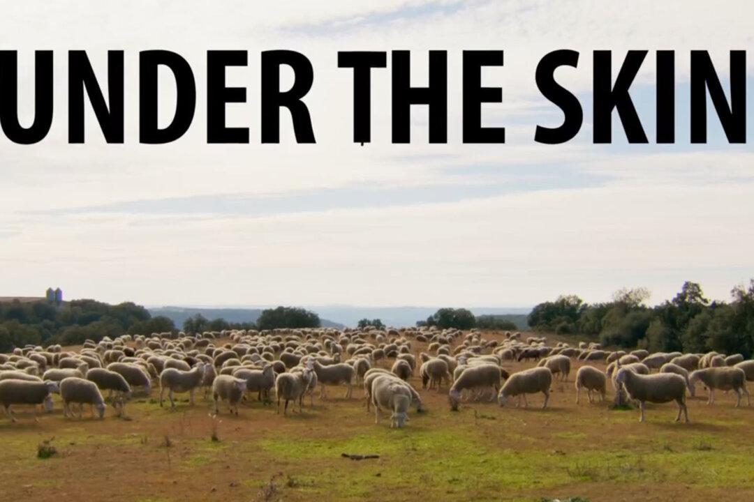 Epoch Cinema Documentary Review: ‘Under the Skin’