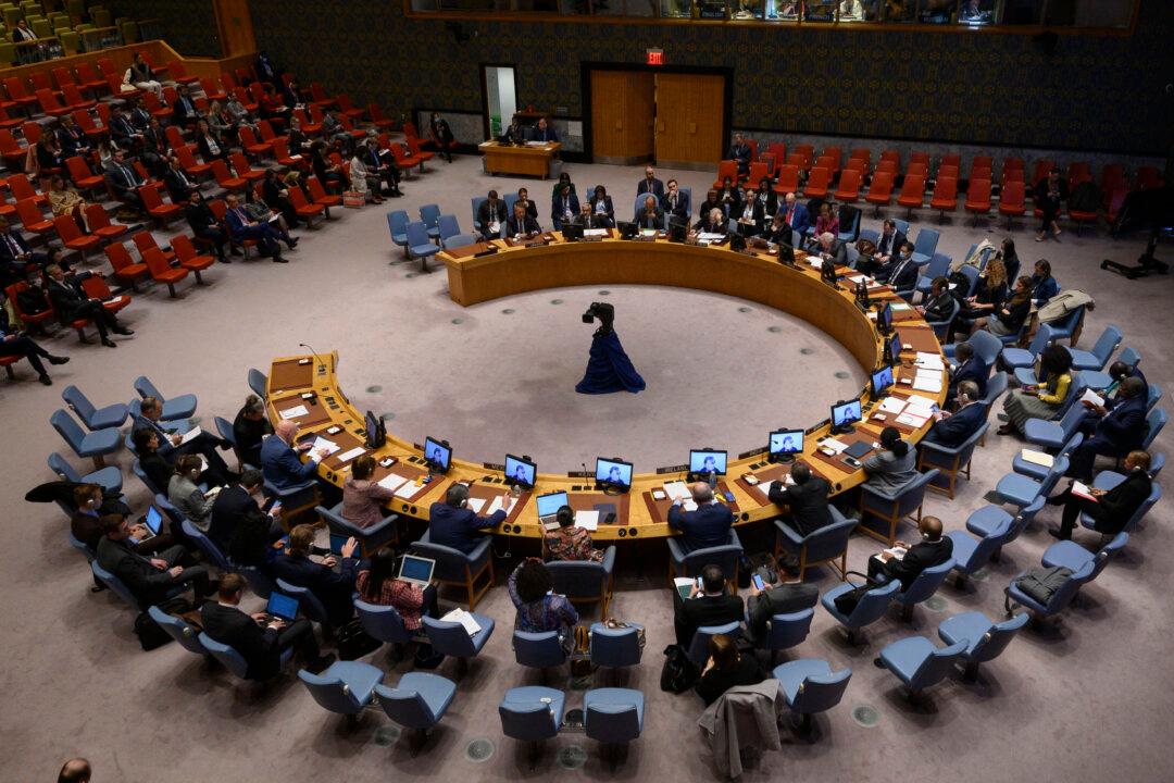 UN Security Council Blocks Russian Calls for Ukraine Biological Weapons Probe