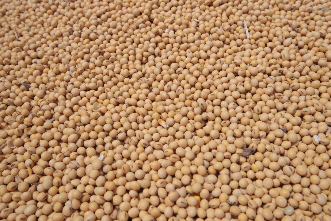 Agriculture Researcher Predicts ‘Perfect Storm’ for High Grocery Prices Nationwide