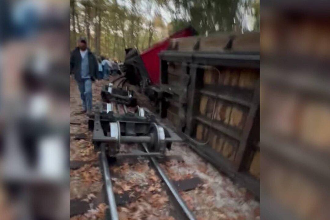 ‘Bounced up Like It Hit a Bump’: Train Derails at Missouri Amusement Park