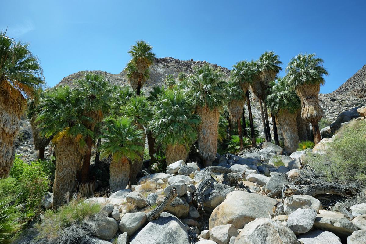 Plan the Perfect Friends’ Getaway Without Going Broke