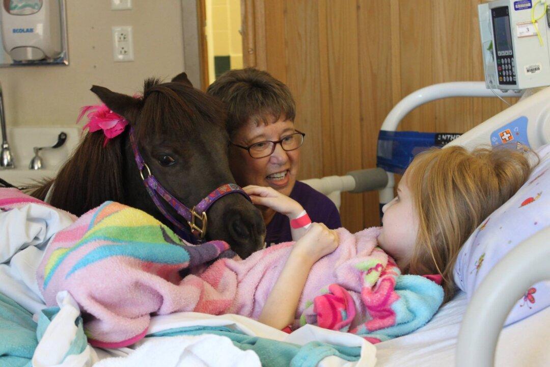 An Illinois Mother Spreads Joy by Bringing Pony Comfort Animals to Nursing Homes and Schools
