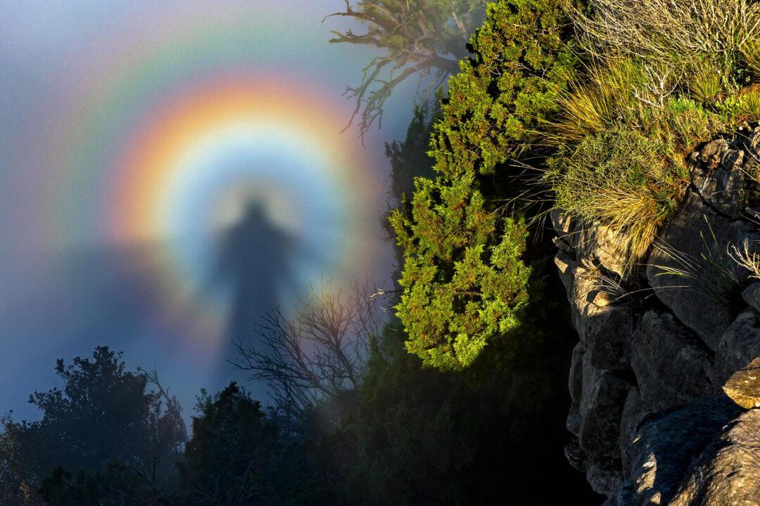 Weather Photographer of the Year 2022: Spectacular Photos Celebrate Nature’s Mystic Moods