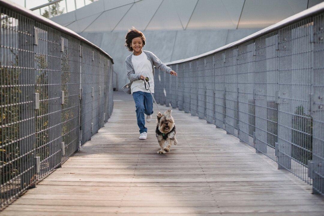 The Pros and Cons of Pet Ownership