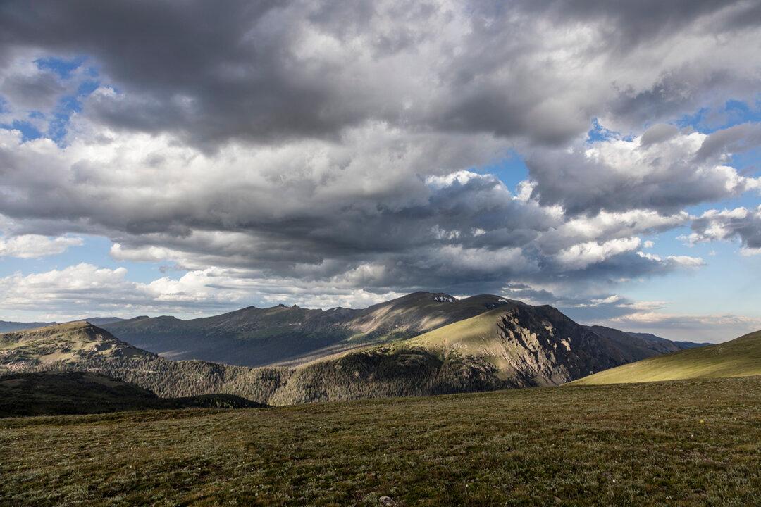 Rocky Mountain Troubadour