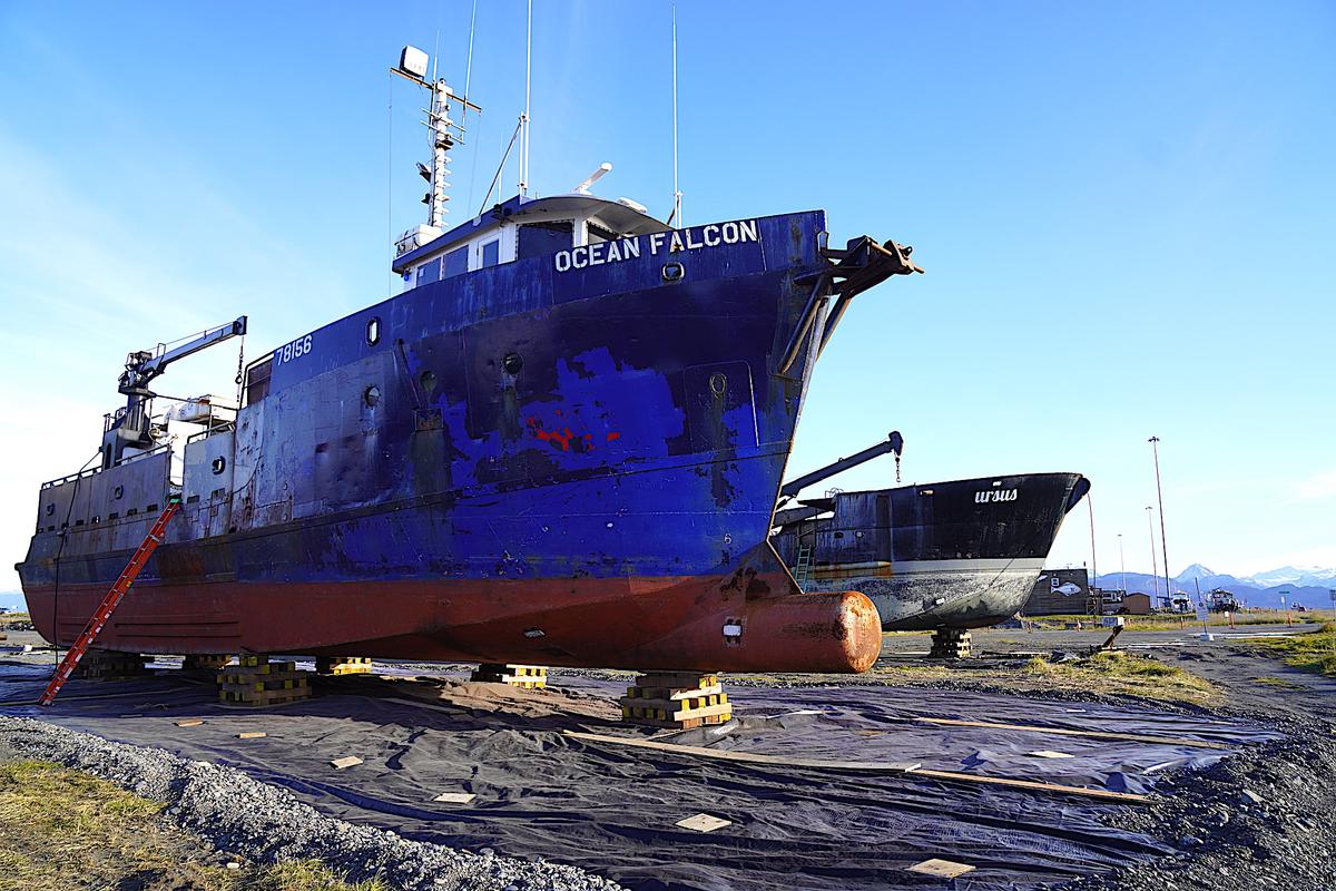 Alaska Crabbers Set for $300 Million in Disaster Relief After Massive Decline in Crab Numbers