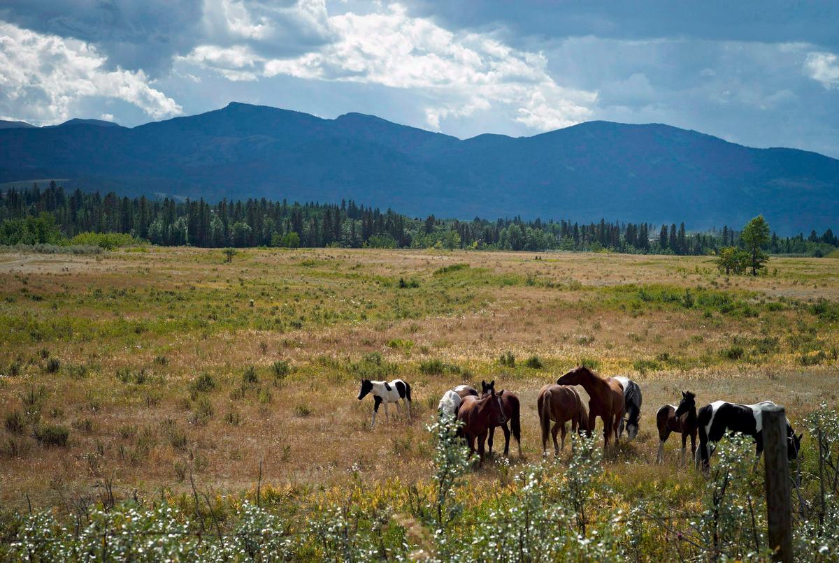 Alberta to Introduce Bill to Prevent Federal Employees From Trespassing on Private Land
