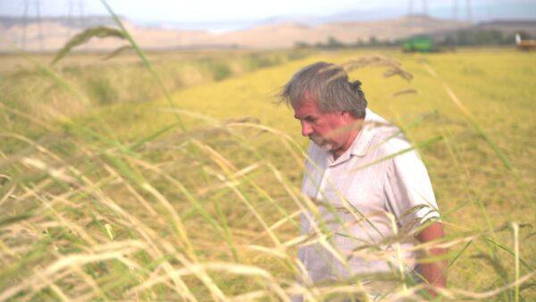 Rep. Doug LaMalfa (R-Calif.) on his property in California's Central Valley on Sept. 17, 2022. (The Epoch Times)