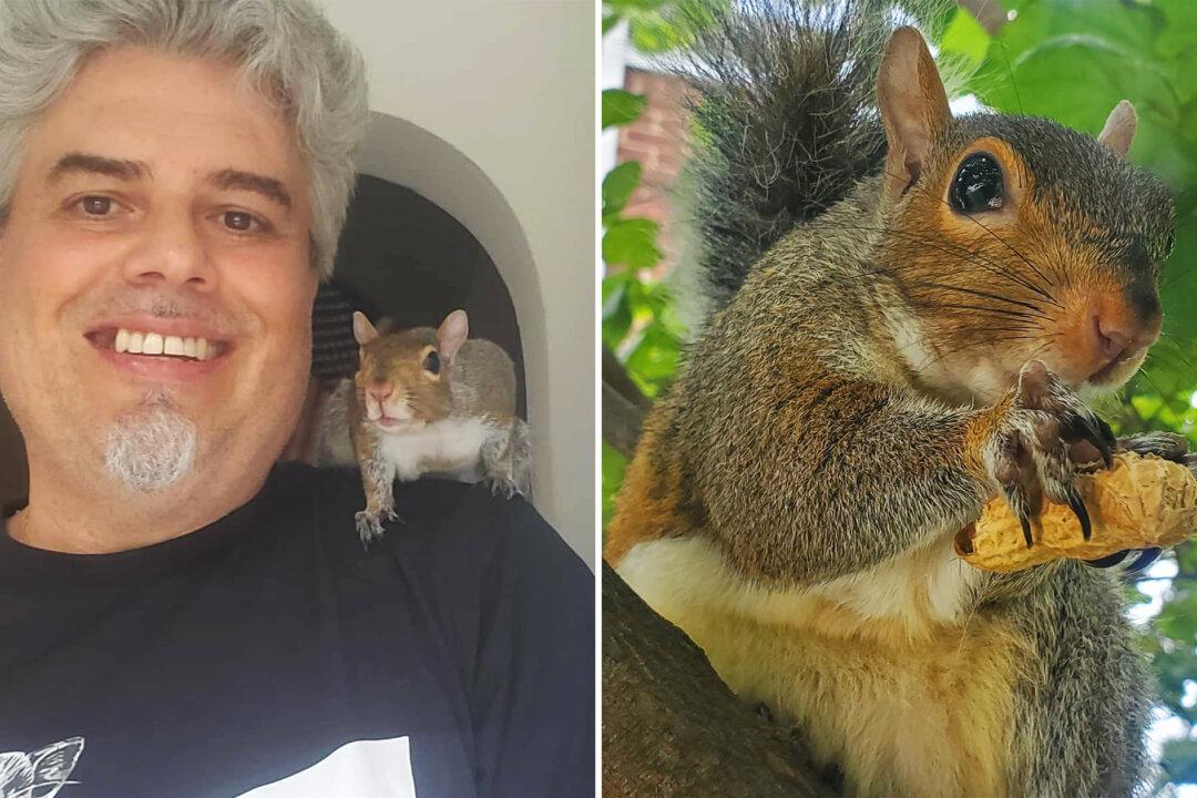 Baby Squirrel Forms Precious Bond With Disabled Veteran After Being Rejected by Her Mother