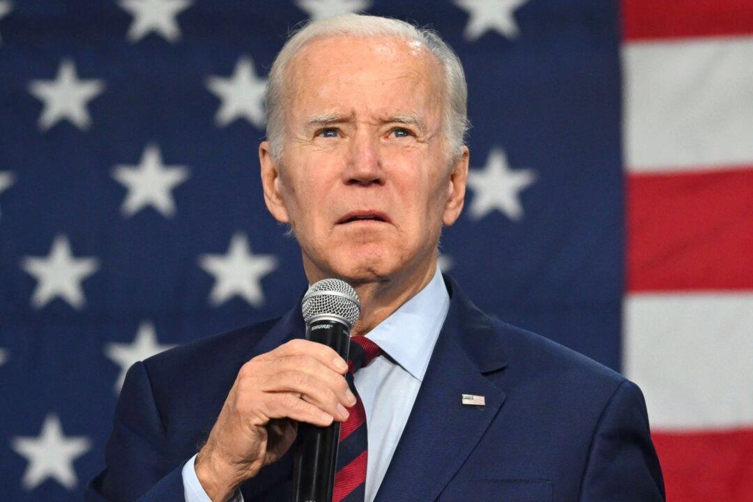 Biden Says Democrats Could ‘Pick up a Seat’ in Senate, ‘Have a Chance’ at House