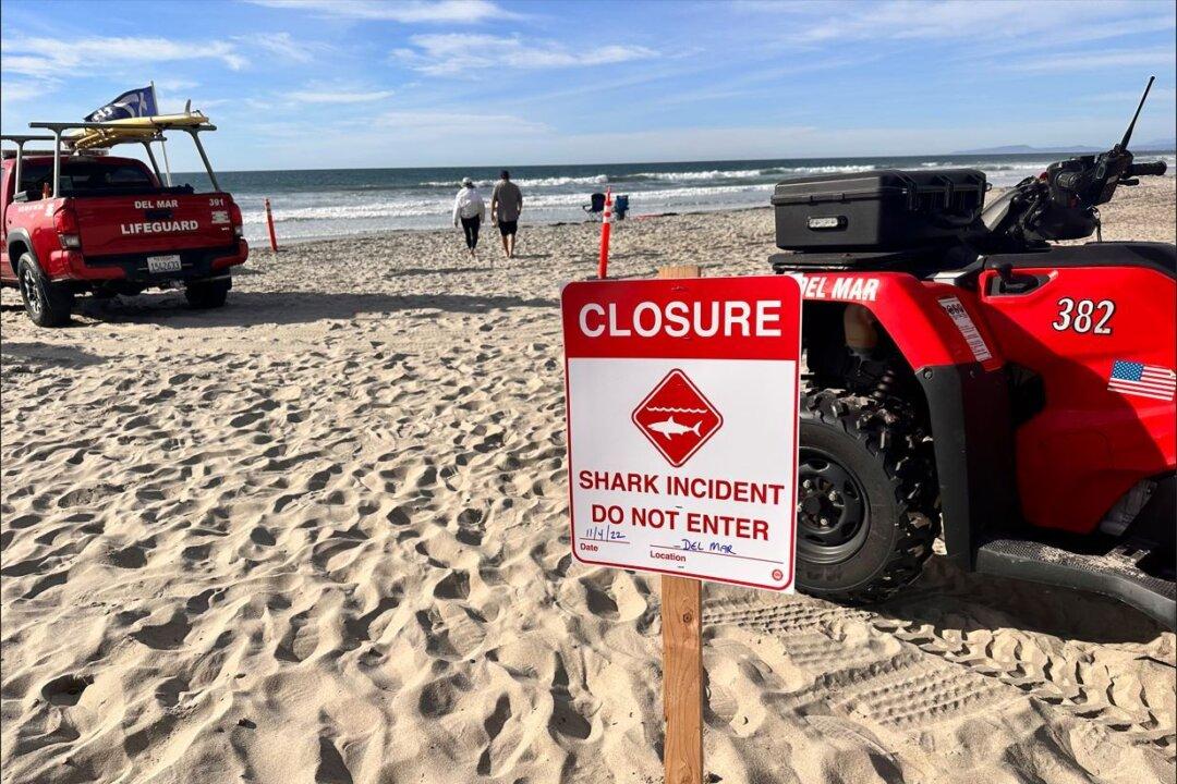 Del Mar Beaches Closed After Shark Attack