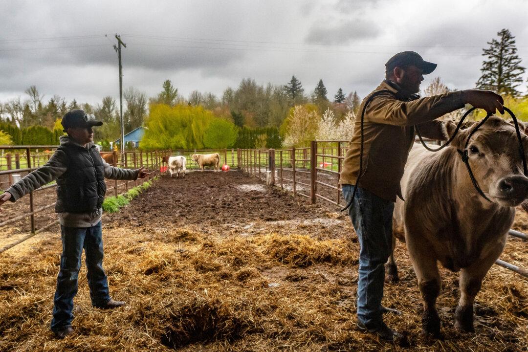 IN-DEPTH: Future of American Farms Uncertain as Aging Farmers Retire Without Successors