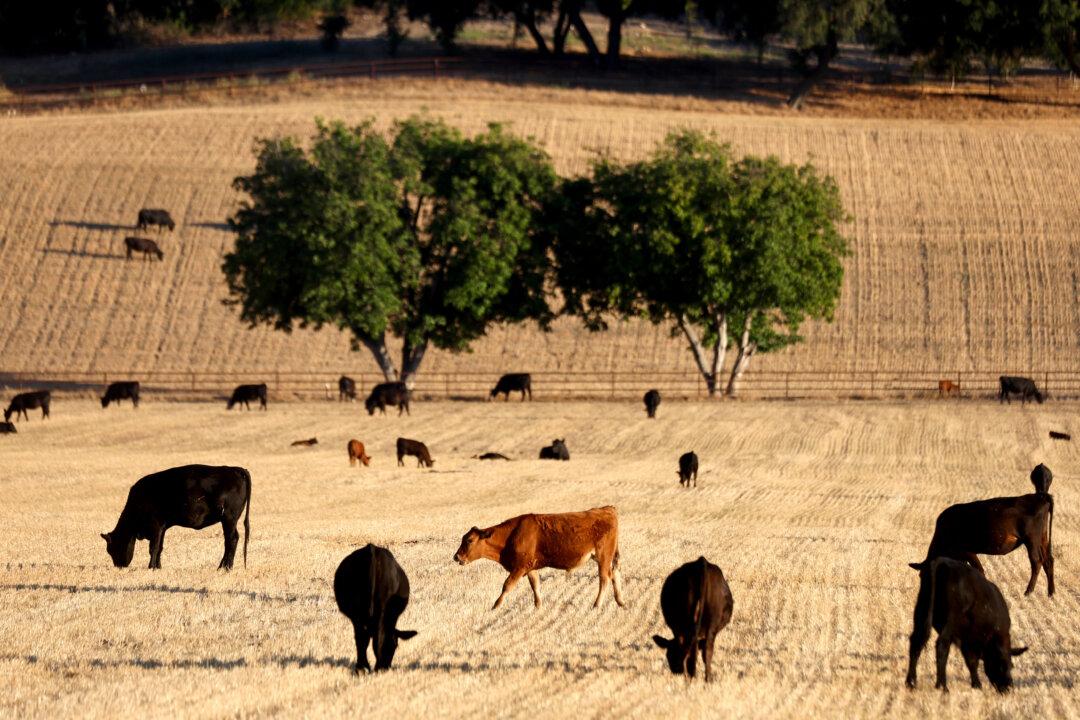 Drought Status Returns to California for First Time in 2024