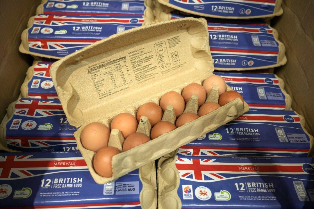 Bird Flu, Inflation, and Low Retail Prices Hit British Egg Producers Amid Shortage Fears