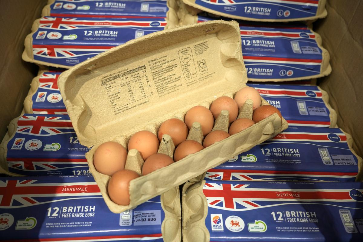 Bird Flu, Inflation, and Low Retail Prices Hit British Egg Producers Amid Shortage Fears