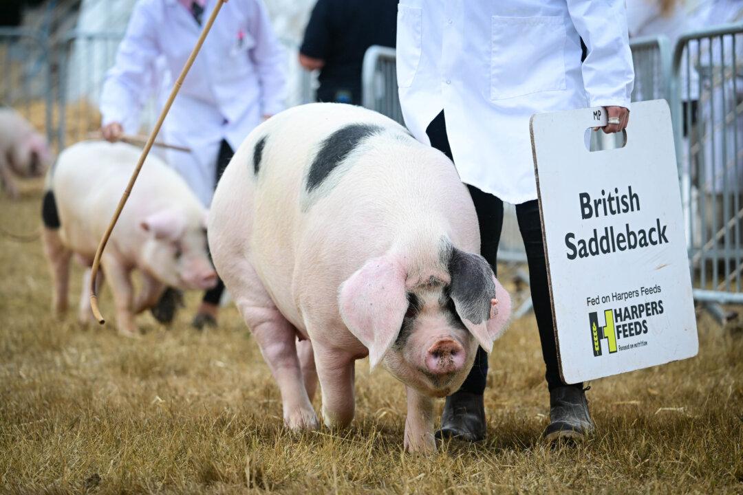 UK Farming Union Boss Says All Sectors Are in an ‘Extraordinary Situation’