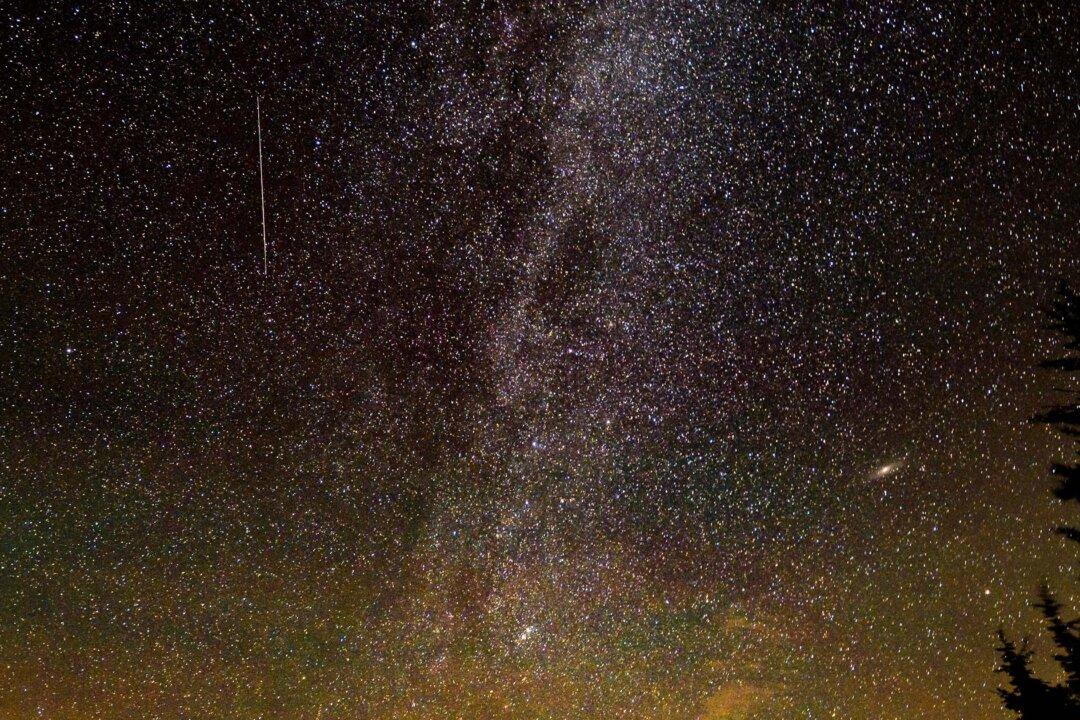 Leonid Meteor Shower Expected to Rain Down on Earth on Night of Nov. 17—Here’s What You Need to Know