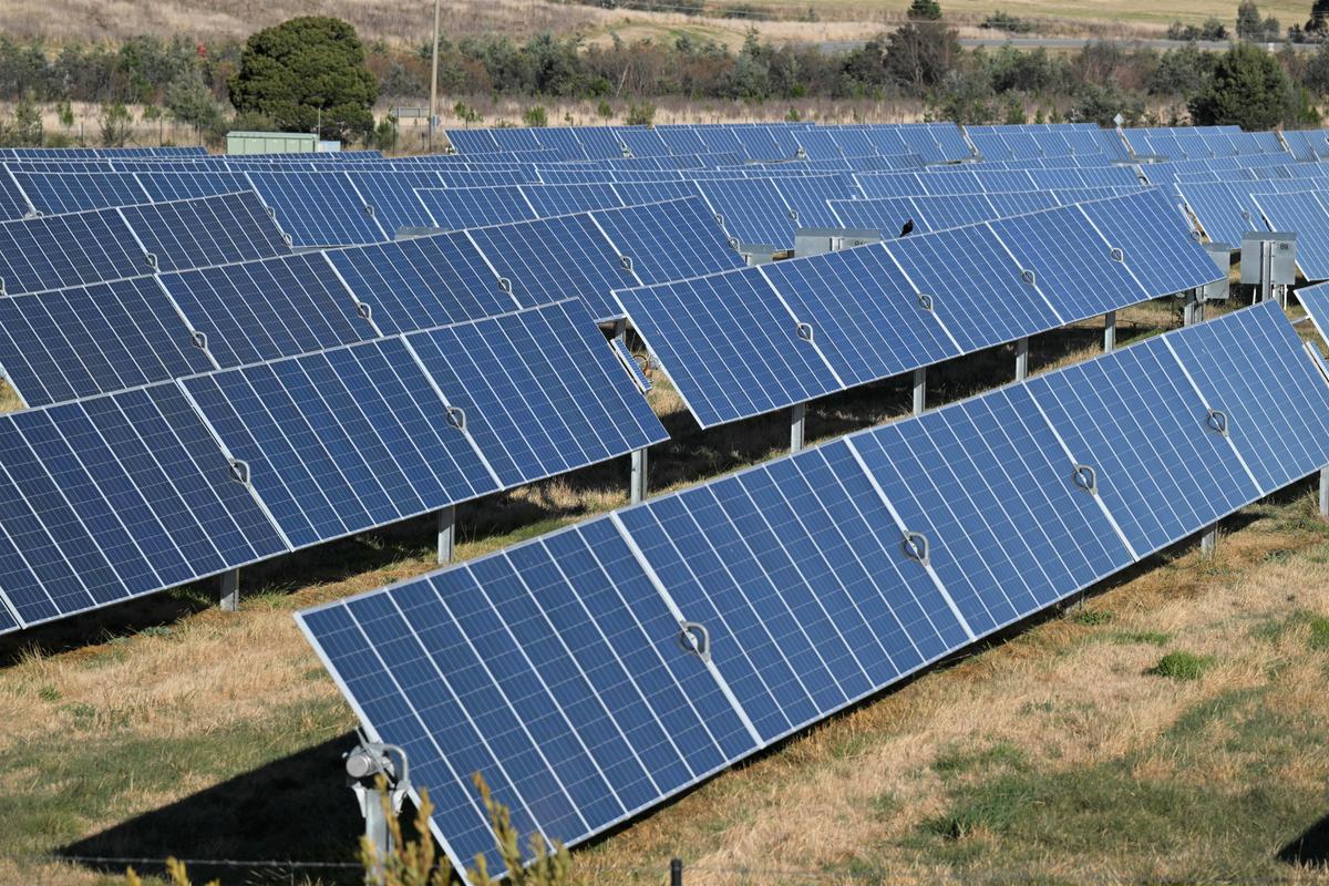 50 Clean Tech Firms Call for Millions of New Solar Panels, Batteries in Ambitious 5-Year Net Zero Plan