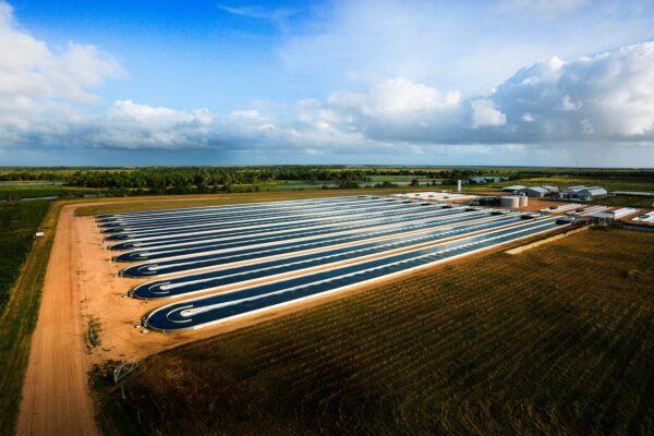 RegenAqua Burdekin Facility (supplied).